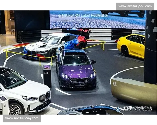 国产车竞技赛场风云再起 驾驶技术与创新实力的全面较量