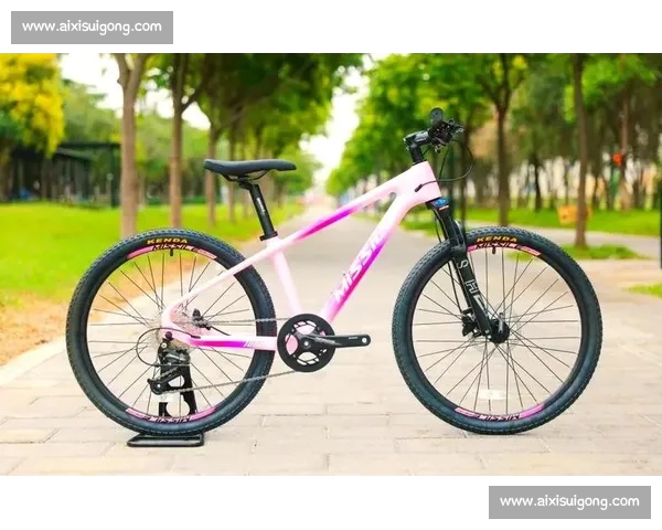 奥运级比赛用自行车价格揭秘及购买参考指南